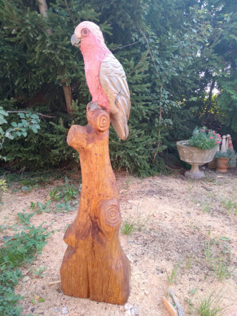 20240904_122533.jpg